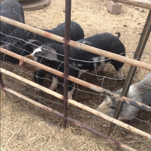 Nice to meet you! - Picture 8 of 8